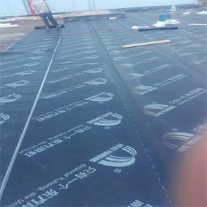 南寧樓頂水泥裂縫補漏 口碑良好的防水工程施工指南