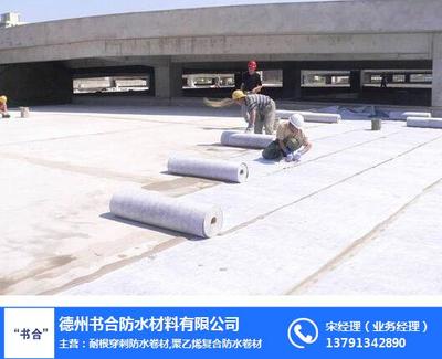 耐根穿刺防水卷材在防水工程中的應用與施工要點