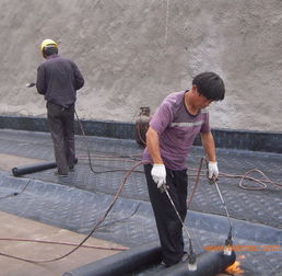 膠南專業防水服務全解析 從公司電話、廠家到工程價格與施工